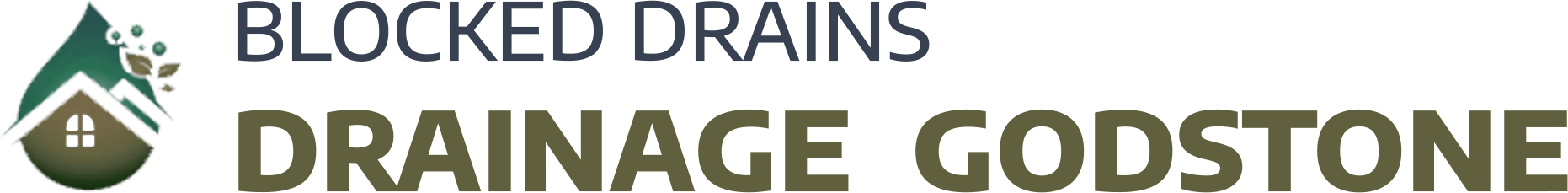 website logo